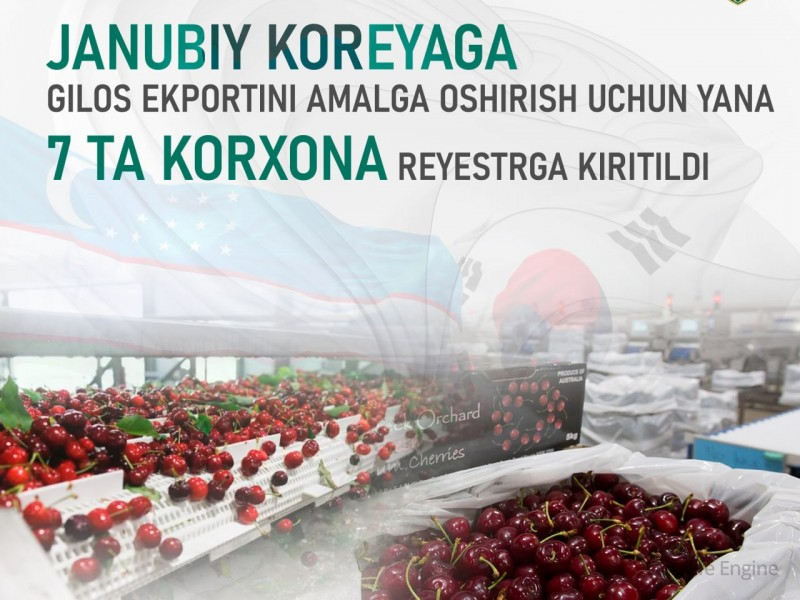 Janubiy Koreyaga gilos ekportini amalga oshirish uchun yana 7 ta korxona reyestrga kiritildi